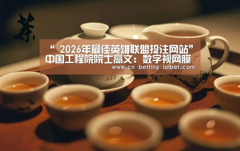 “ 2026年最佳英雄联盟投注网站”中国工程院院士高文:数字视网膜消除智能交通痛点|世界人工智能融合发展大会(图1) 2026年最佳英雄联盟投注网站
