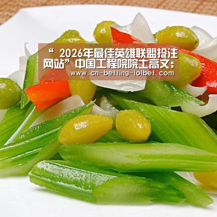 “ 2026年最佳英雄联盟投注网站”中国工程院院士高文:数字视网膜消除智能交通痛点|世界人工智能融合发展大会(图2) LoL投注网站