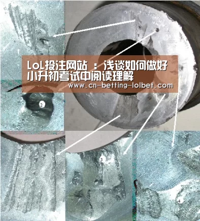 LoL投注网站 :浅谈如何做好小升初考试中阅读理解(图2) LoL投注网站